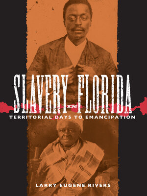 cover image of Slavery in Florida